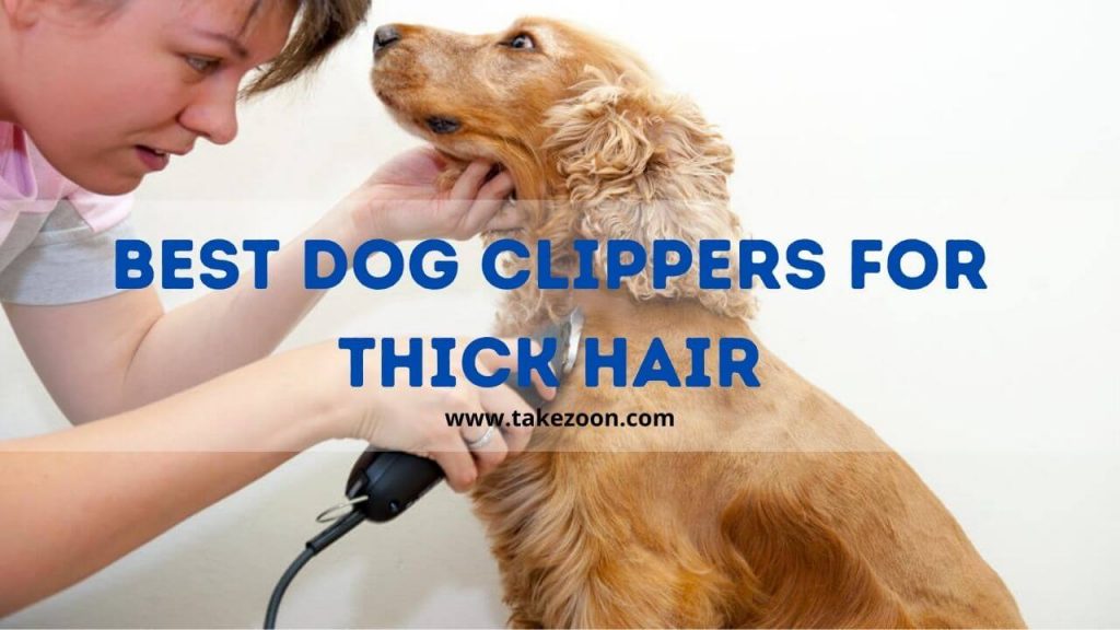 best dog clippers for thick hair